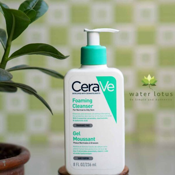 Foaming Cleanser (Oily) - photo 2